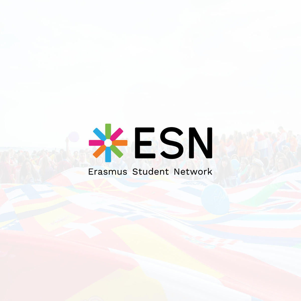 Erasmus Student Network (ESN)