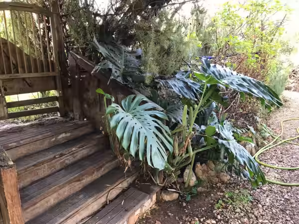 Jardín