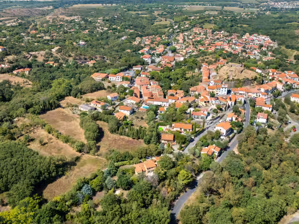 Zahrada