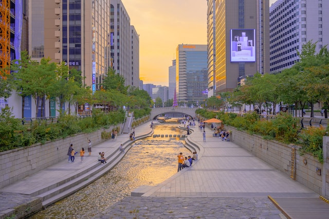 working remotely in South Korea, seoul, digital nomads