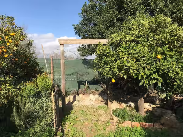 Jardín