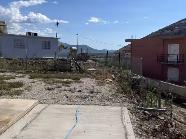 Zahrada