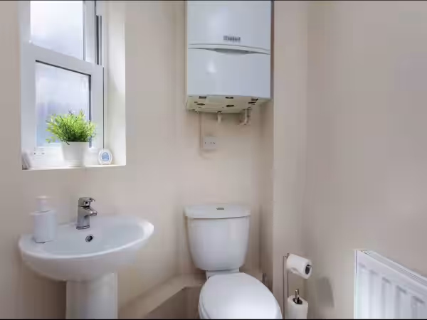 Toilet