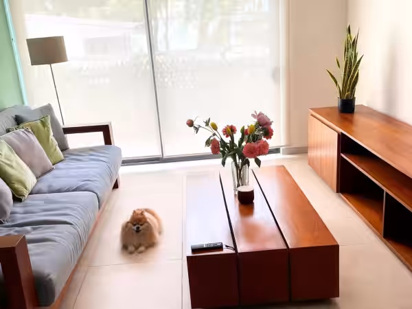 Living room