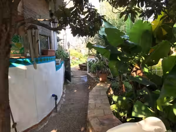 Jardín
