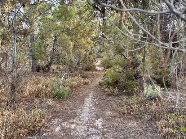 Jardín