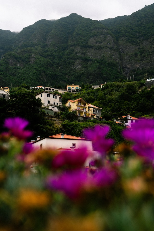 Vacation rentals in Madeira