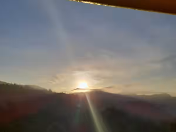 Jardín