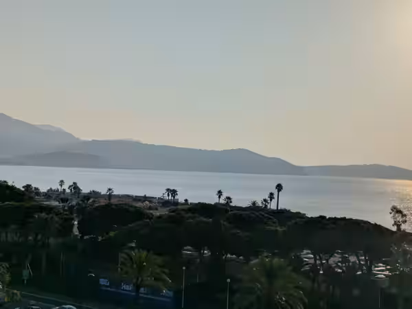 Jardín