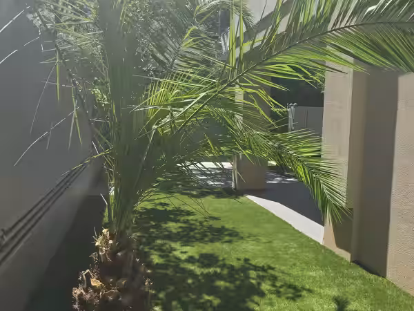 Jardim