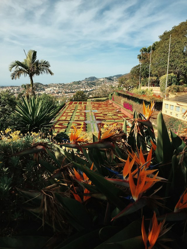 accommodation for digital nomads and expats in Funchal, Madeira, Portugal
