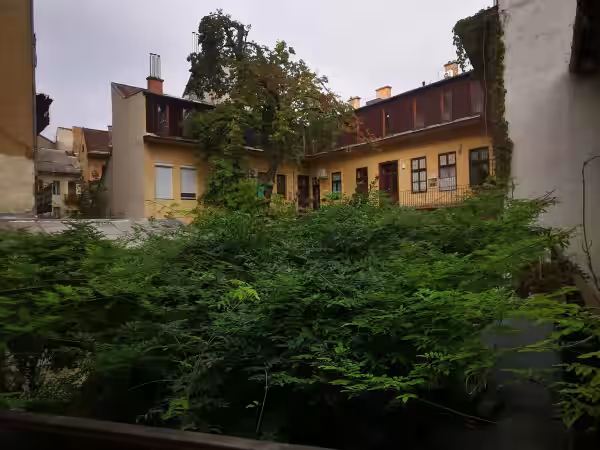 Zahrada
