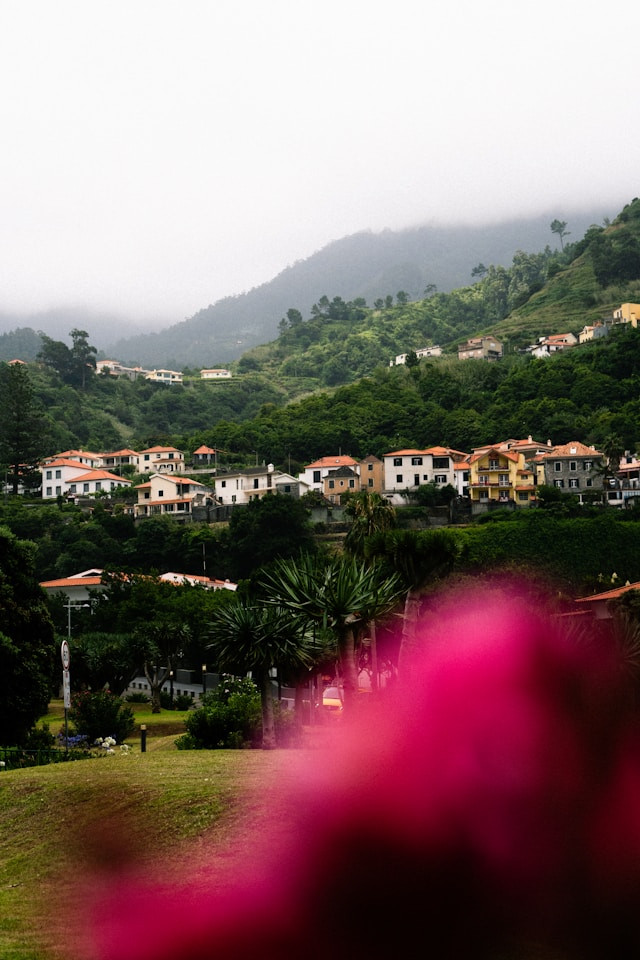 Funchal villas, Madeira, Portugal