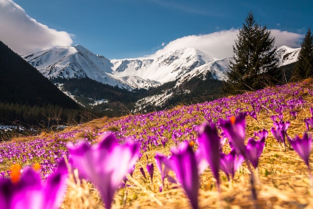 Best time to visit Poland. Weather in Poland