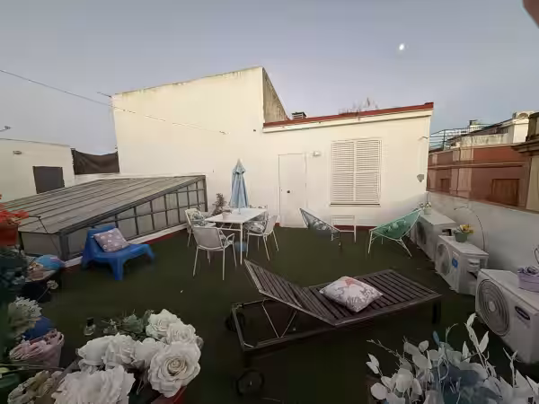 Zahrada
