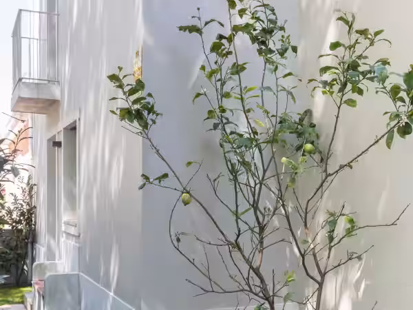 Jardín
