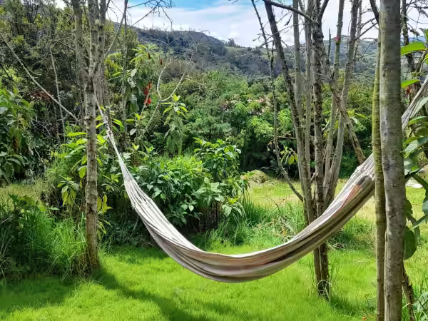 Jardín