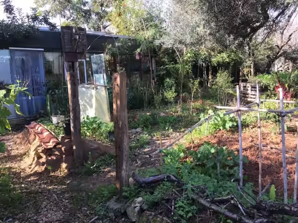 Jardín