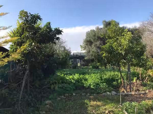 Jardín